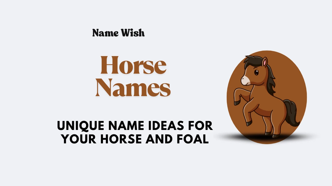 horse-names