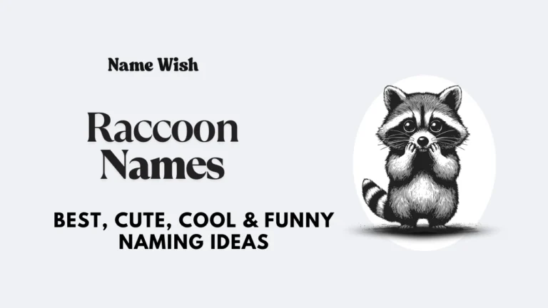 Raccoon Names