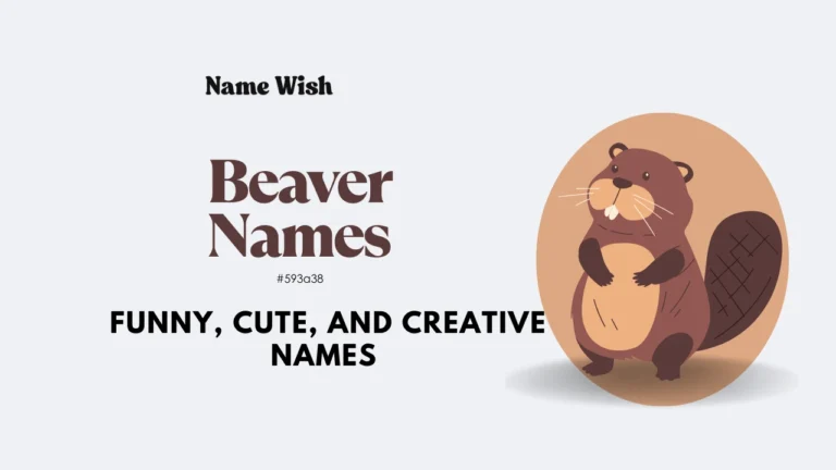 beaver-names