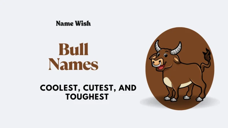 bull names