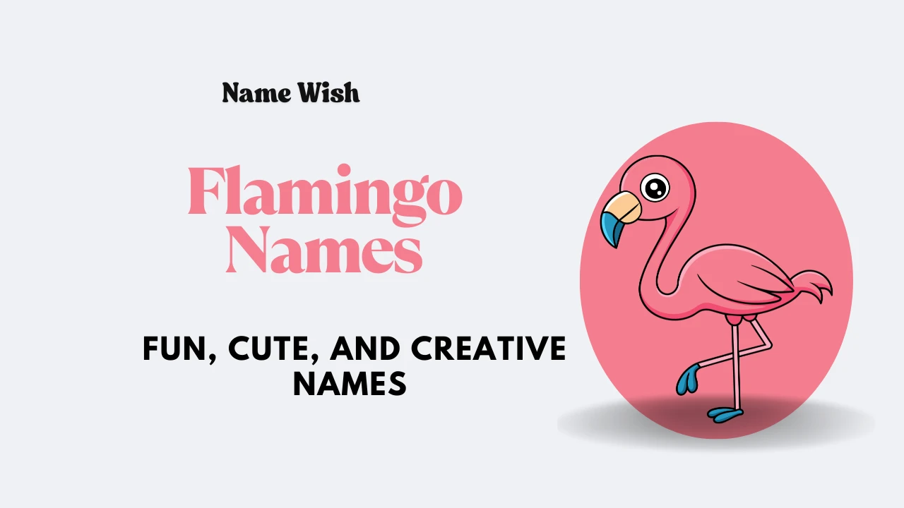 flamingo-names