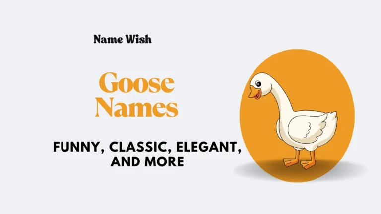 goose-names