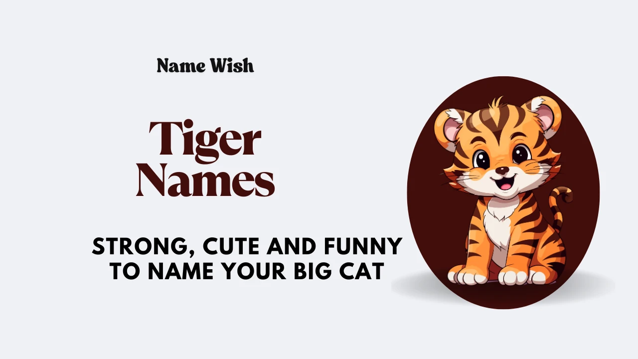 tiger names