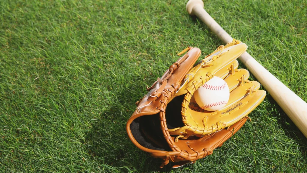 baseball bat, ball and gloves