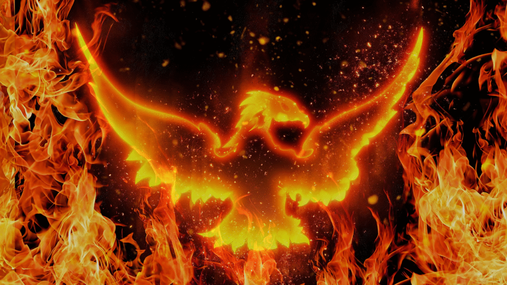 Fierce phoenix