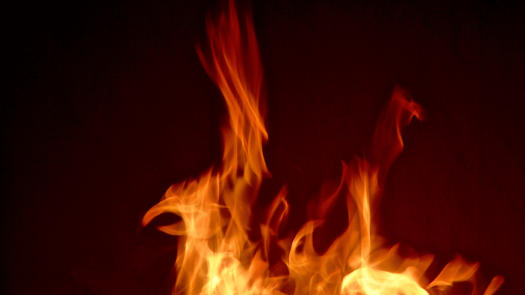 Fire phoenix