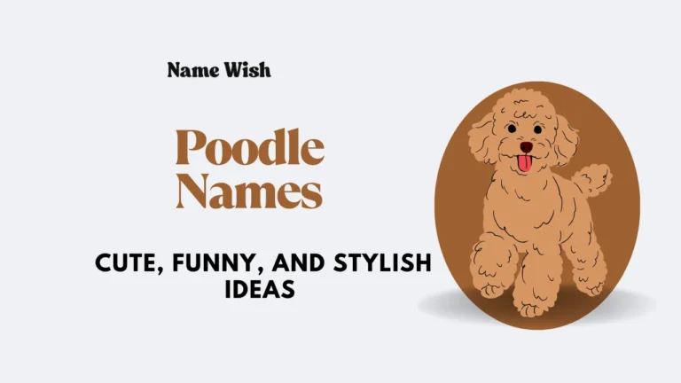 Poodle Names