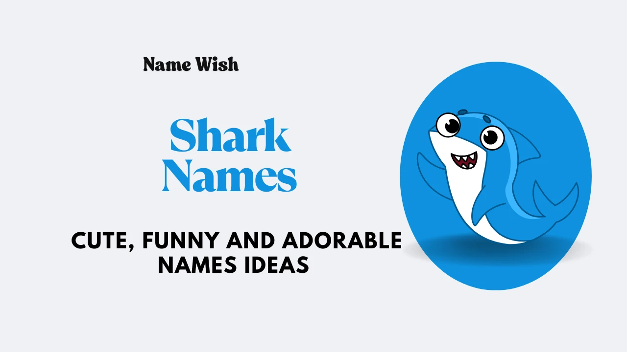shark names