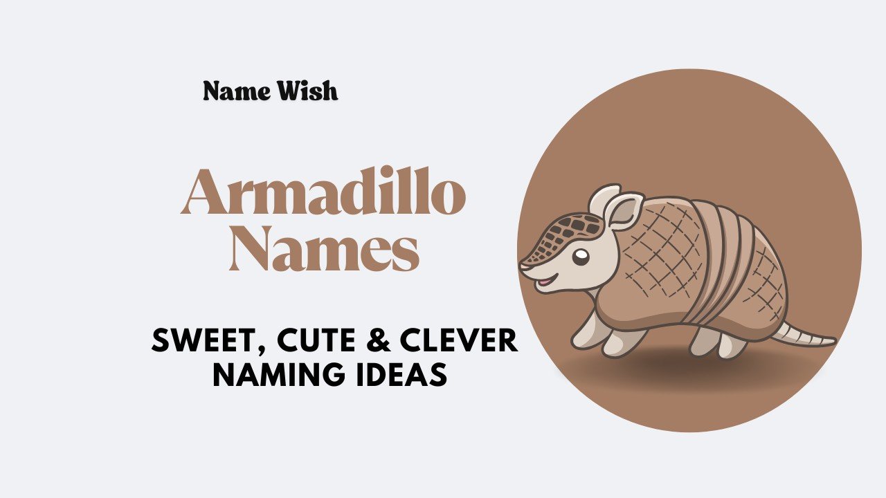 armadillo names