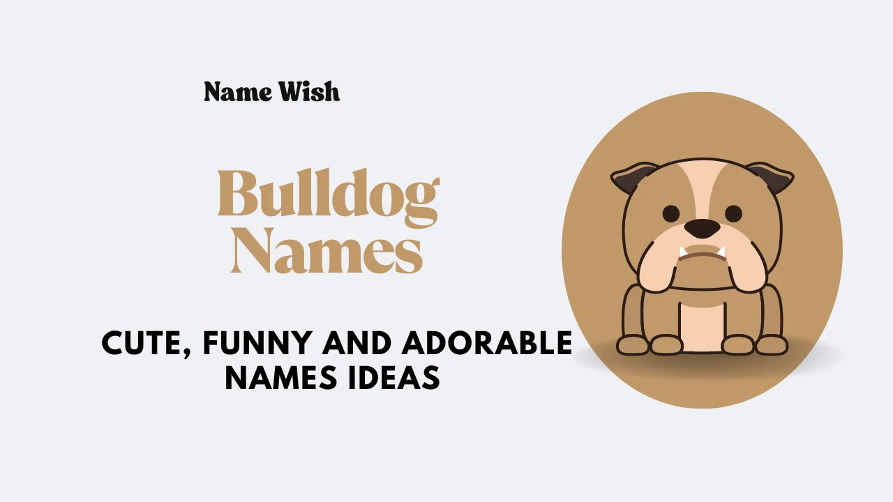 bulldog names