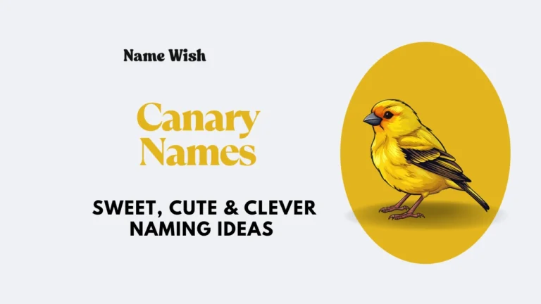 canary names