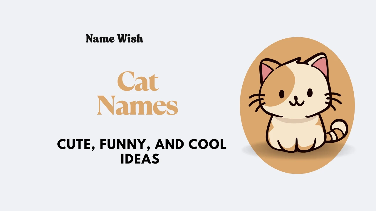 cats names