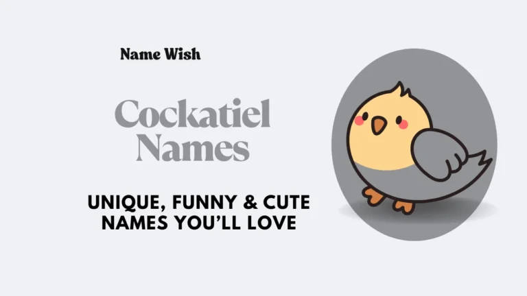 cockatiel names