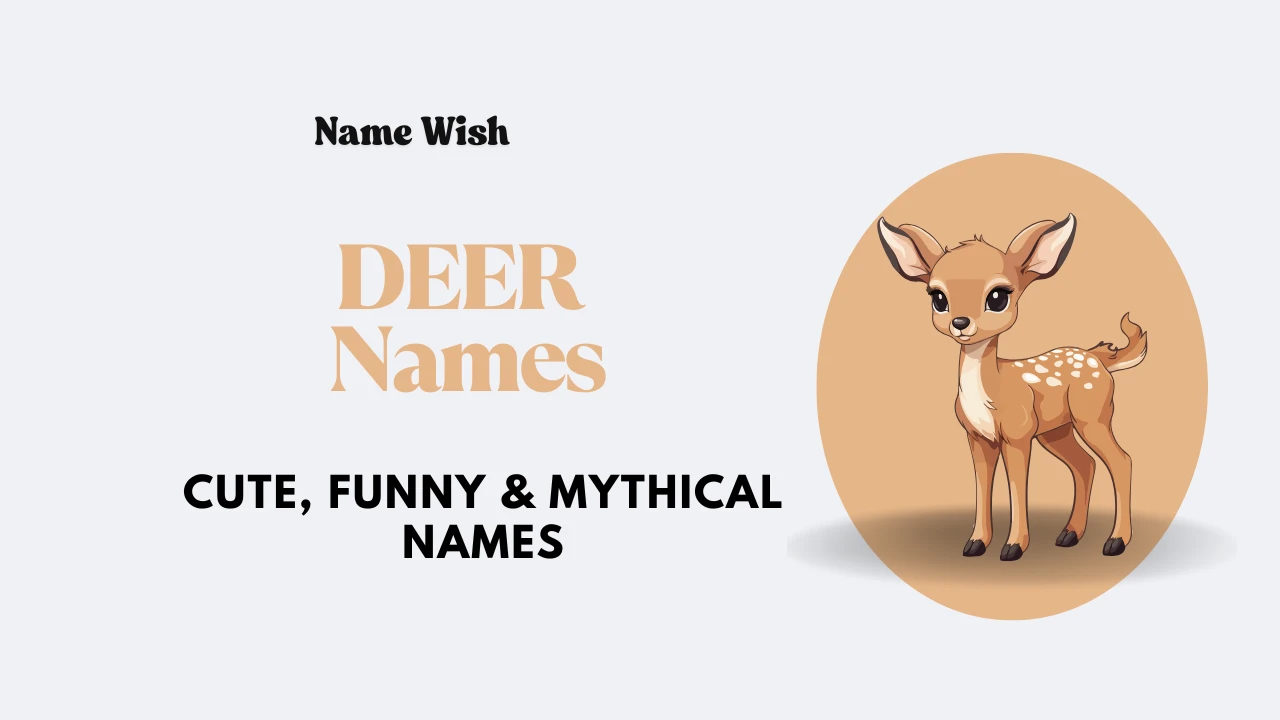 deer names