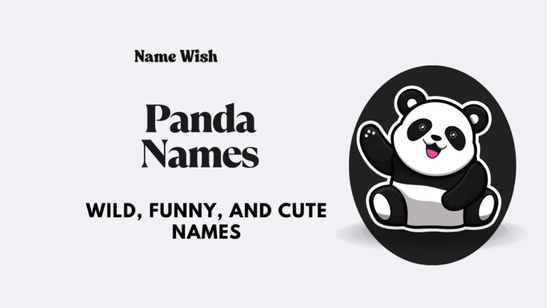 panda names