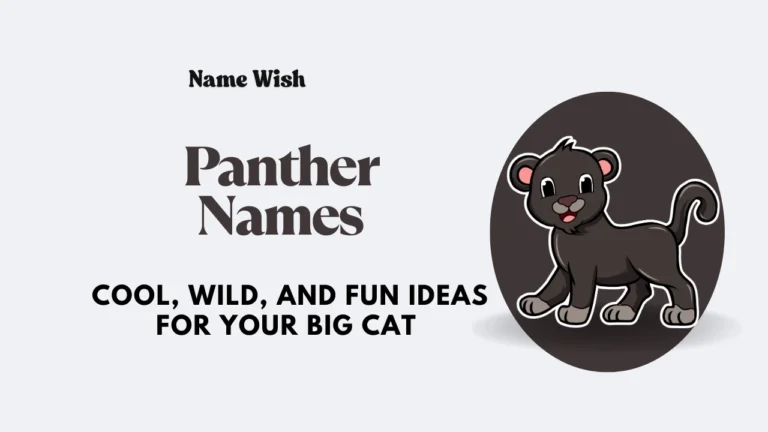 panther names