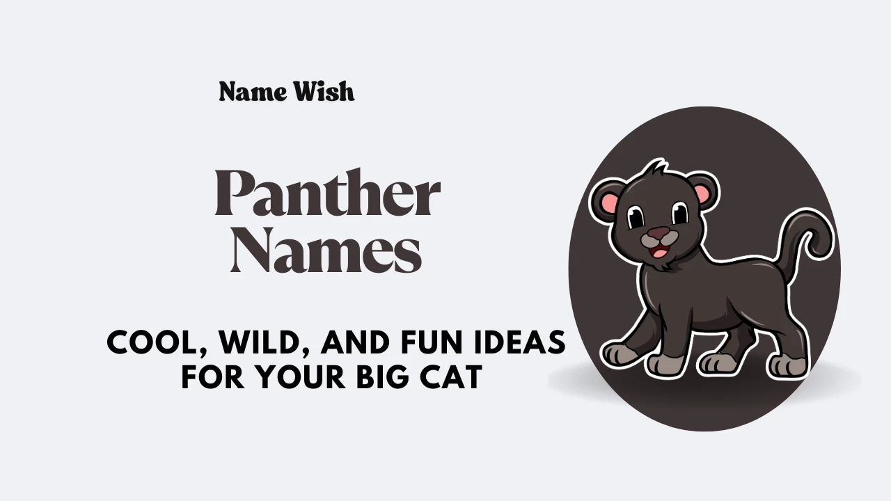 panther names