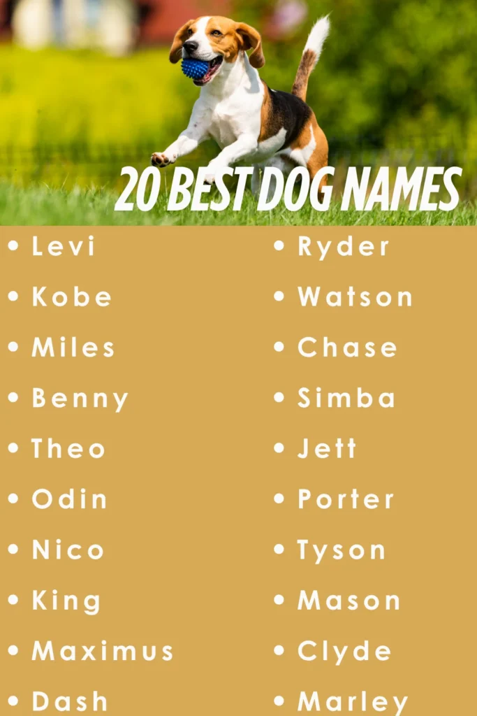 best dog names
