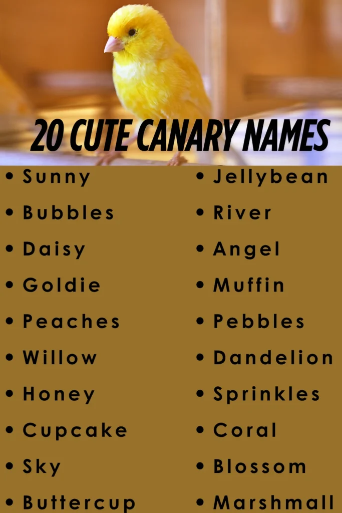 cute canary names