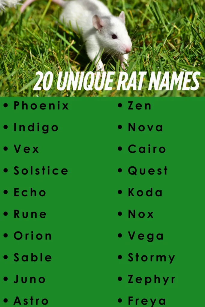 20 unique rat names