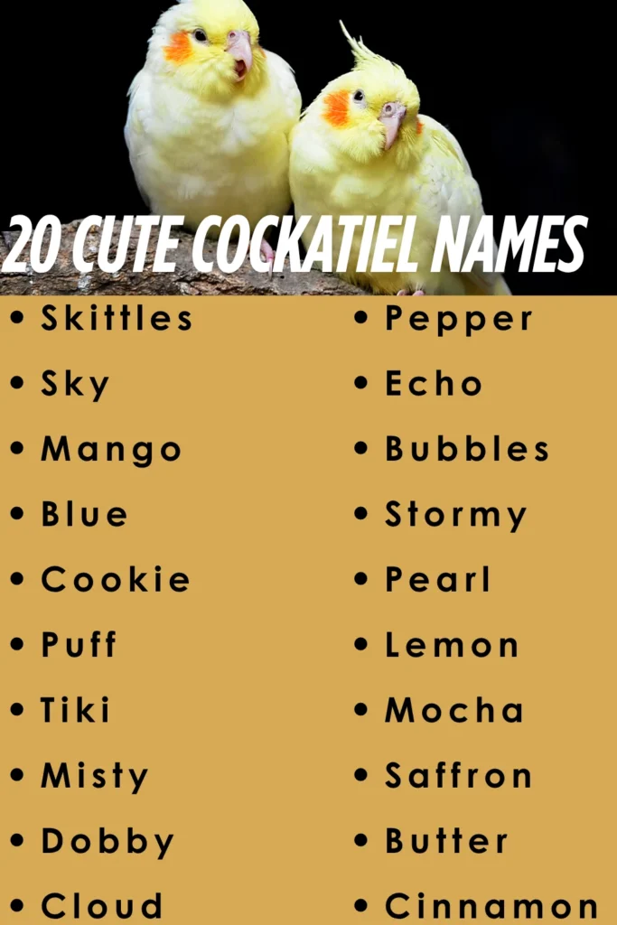 cute cockatiel names