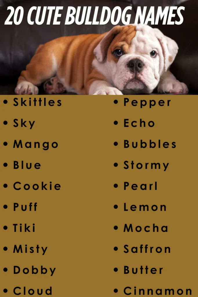 cute bulldog names