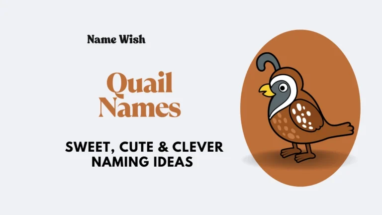 quail names