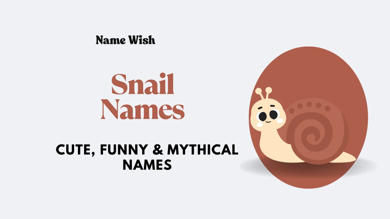 snail names