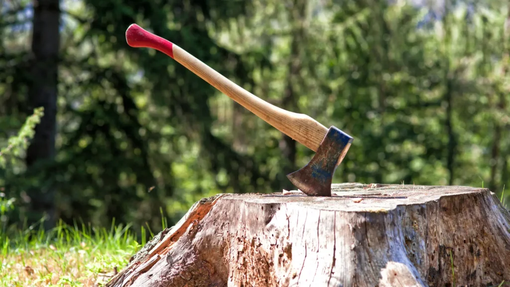 an axe