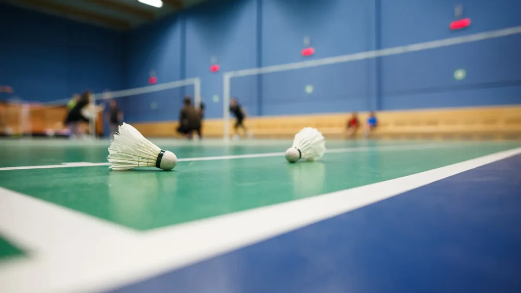 Badminton shuttlecock