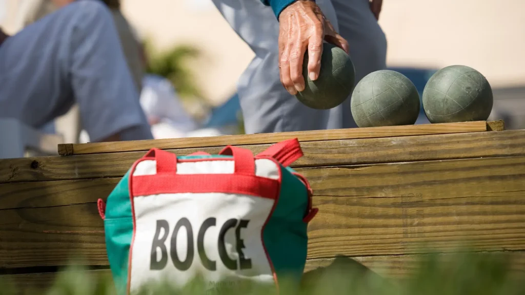 Bocce bag
