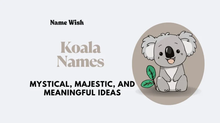 koala names