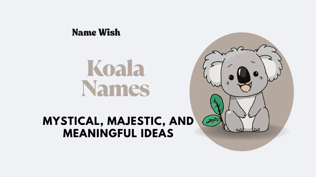 koala names