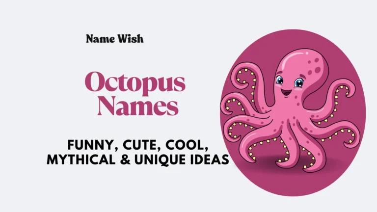octopus names