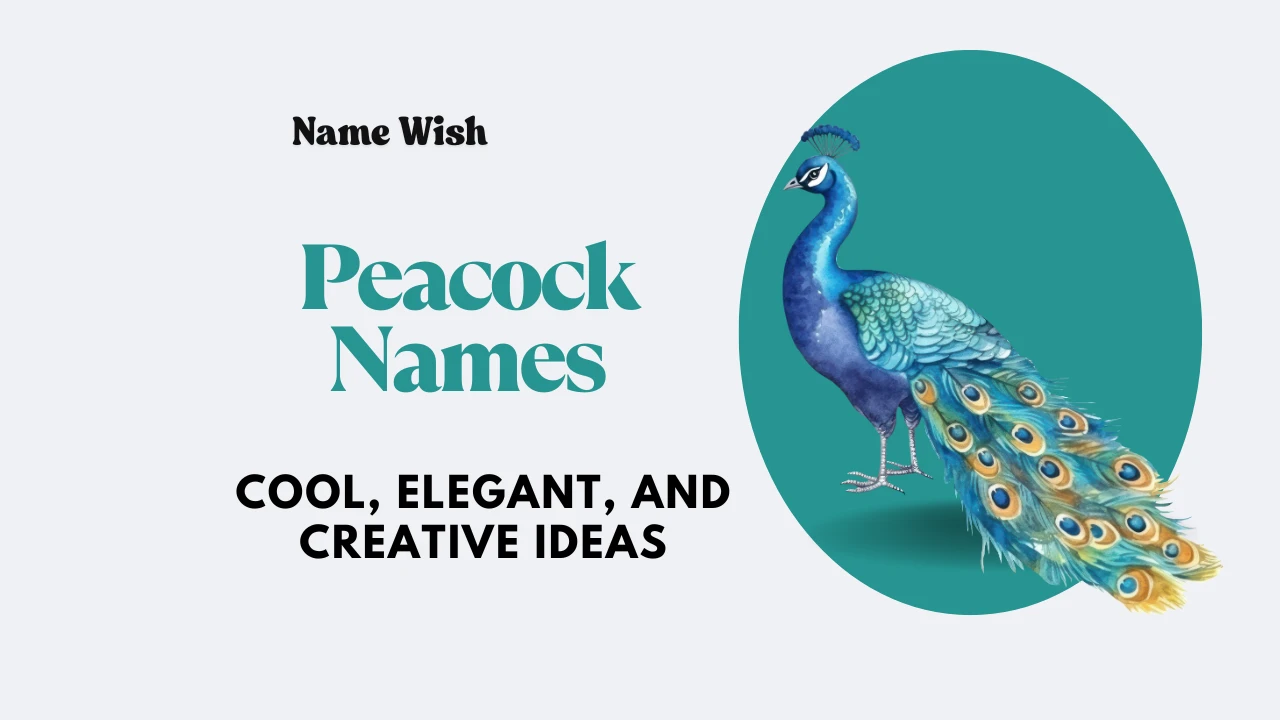 peacock names