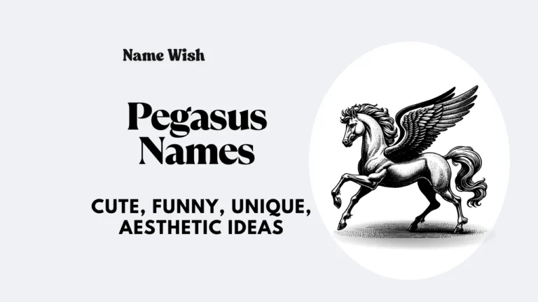 pegasus names