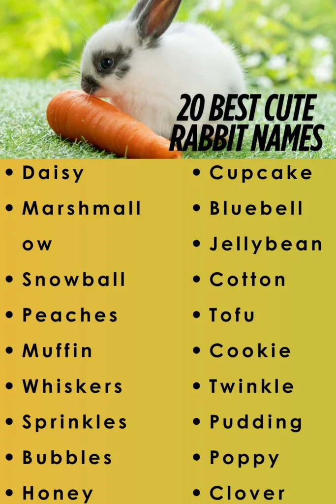 cute rabbit names