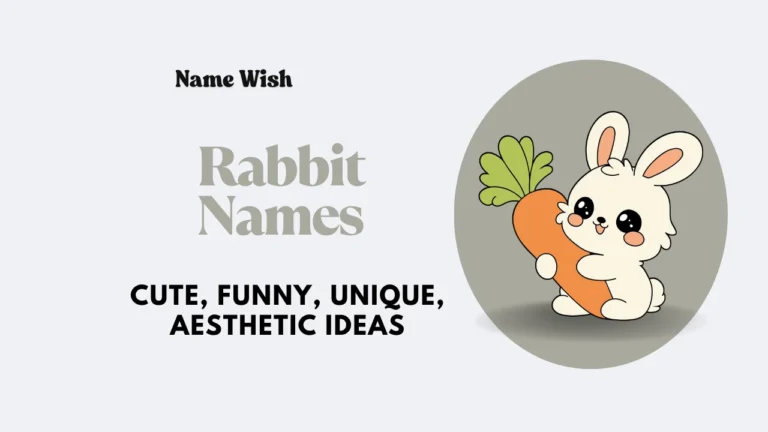 rabbit names