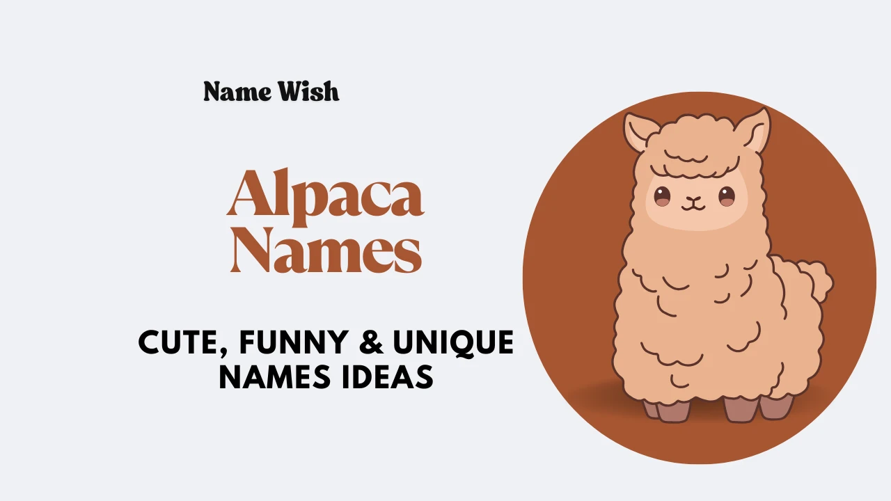 Alpaca Names