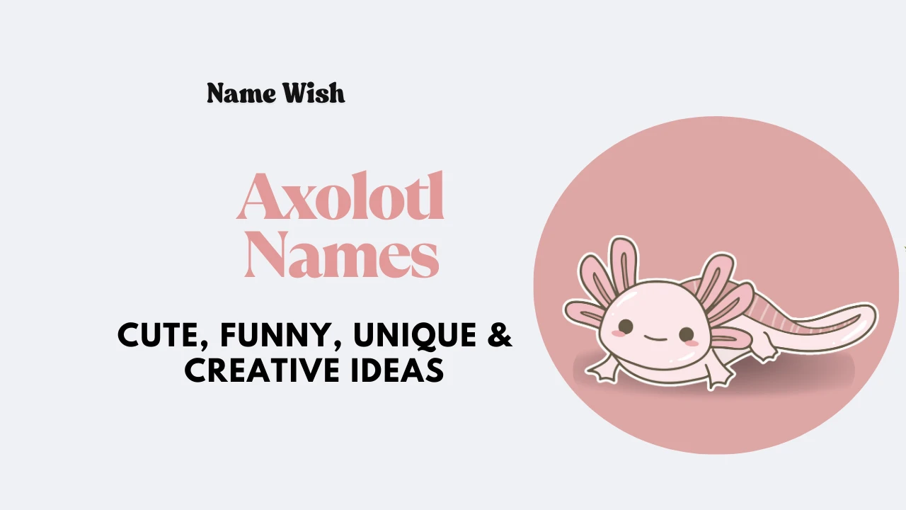 Axolotl names