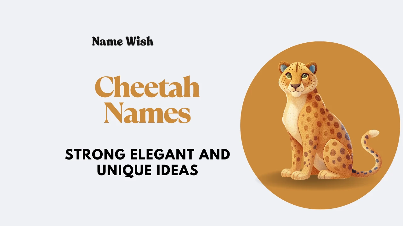 Cheetah names