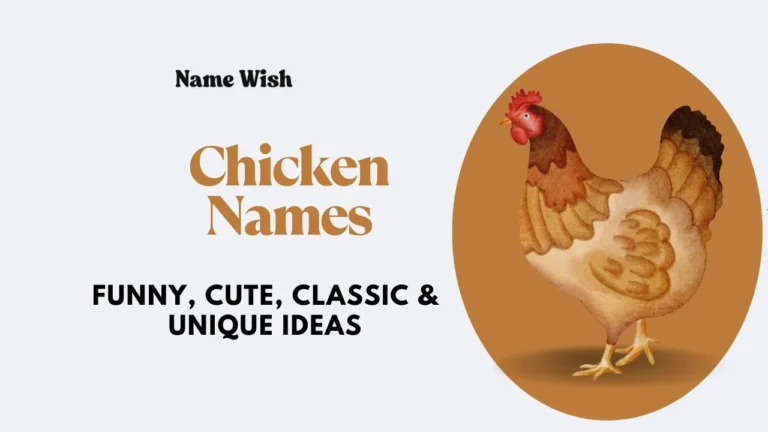Chicken Names