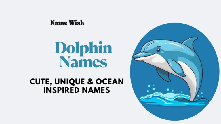Dolphin Names