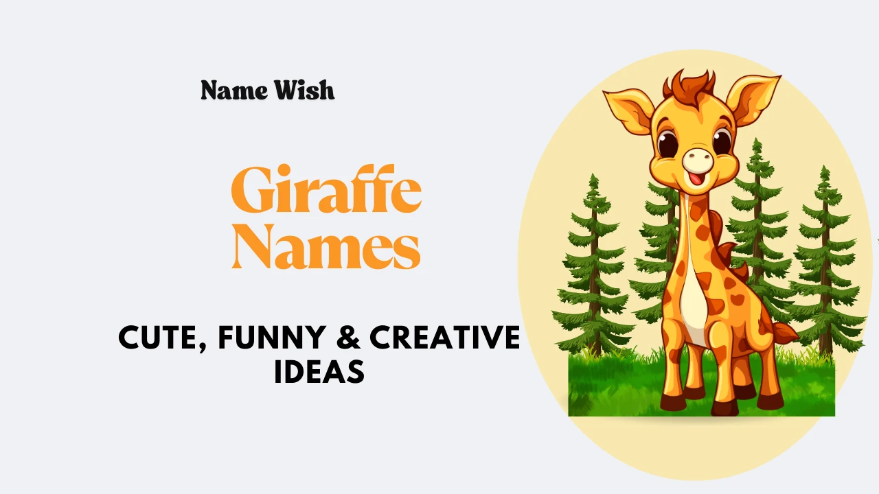 Giraffe Names