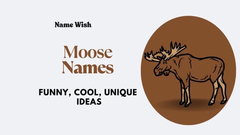 Moose Name