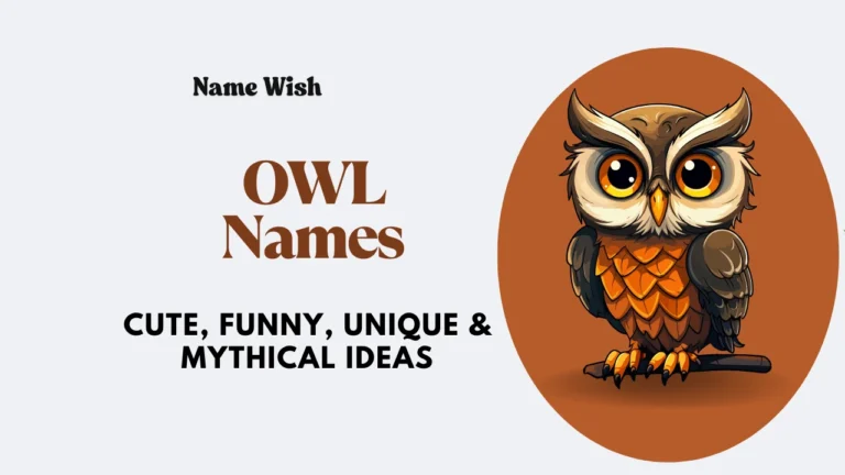 Owl names