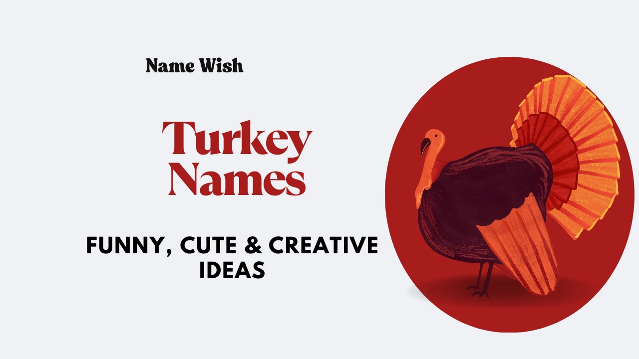 Turkey Names