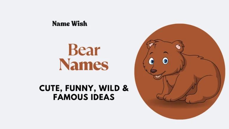 Bear Names