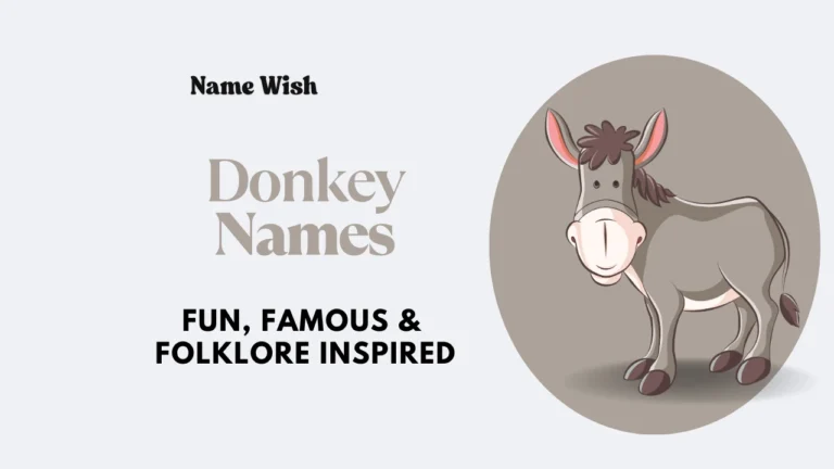 donkey names
