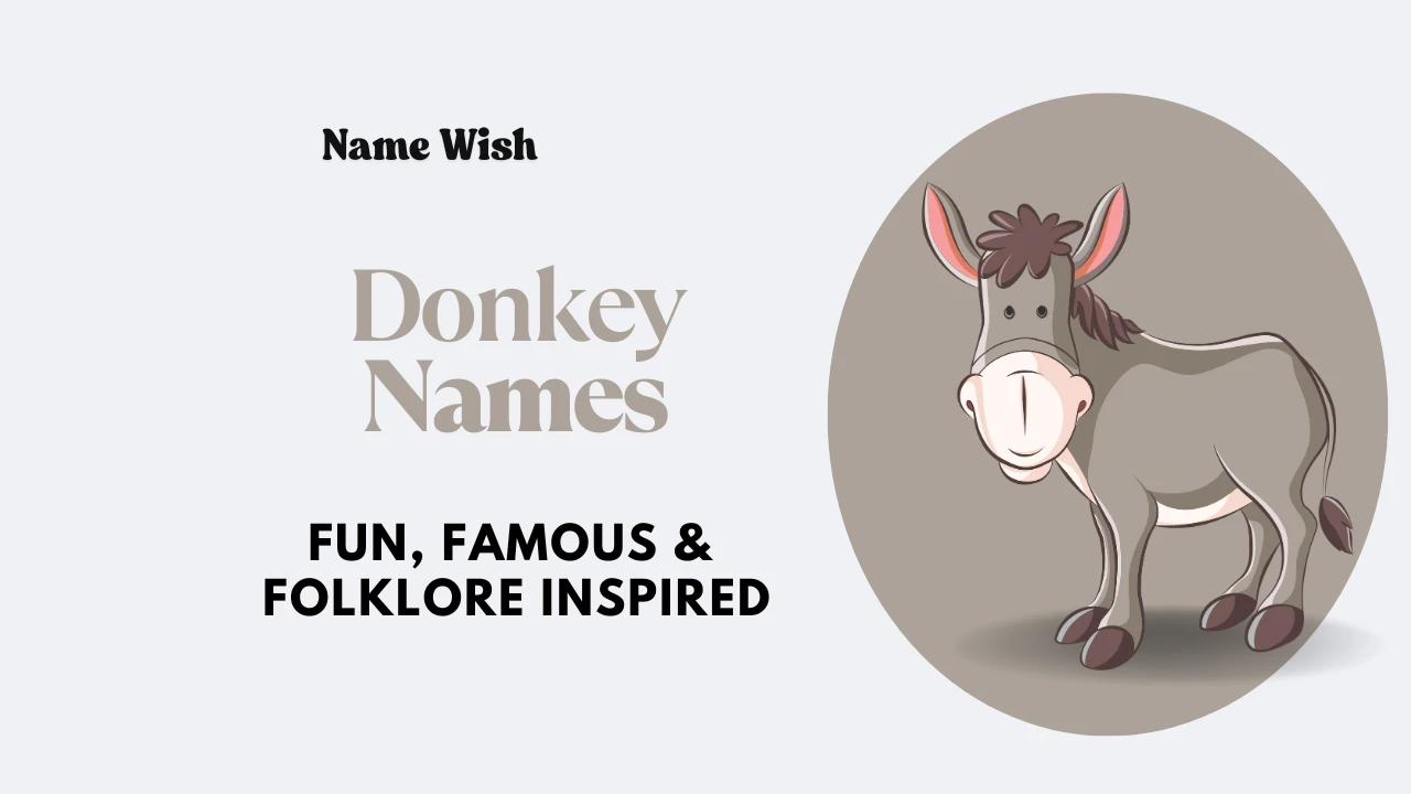 donkey names
